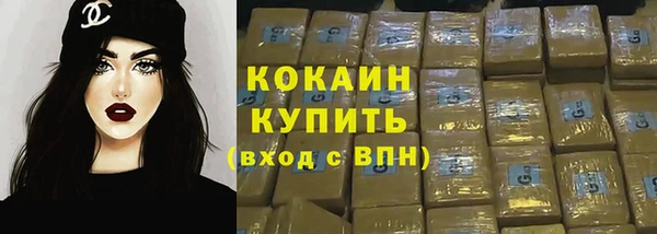 дживик Гусев