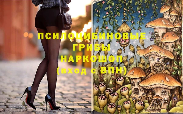 COCAINE Гусь-Хрустальный