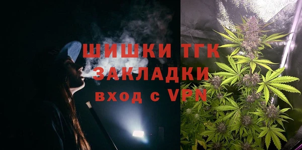 дживик Гусев