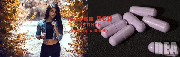дживик Гусев