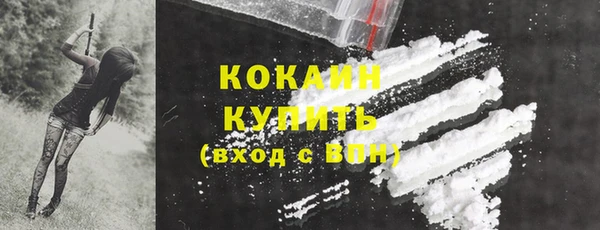дживик Гусев