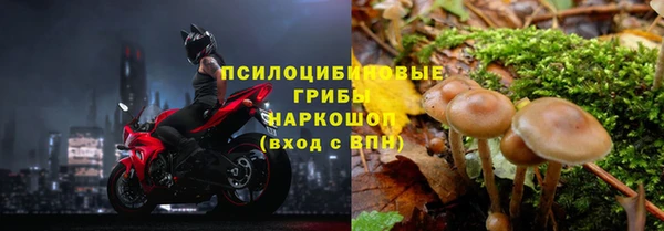 дживик Гусев