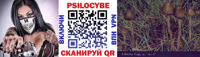 Купить  Кириллов  Псилоцибиновые грибы Cubensis 